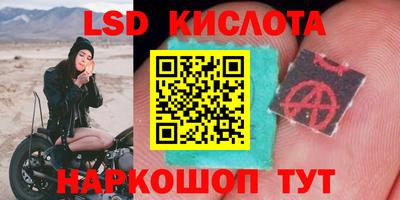 гидра Аргун