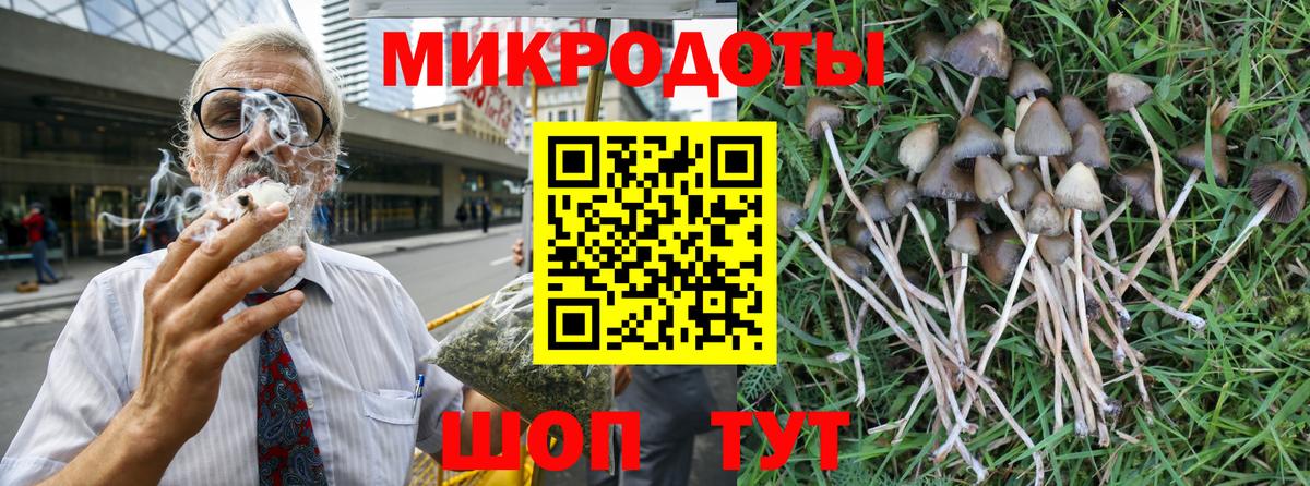 Галлюциногенные грибы Psilocybe Великий Новгород